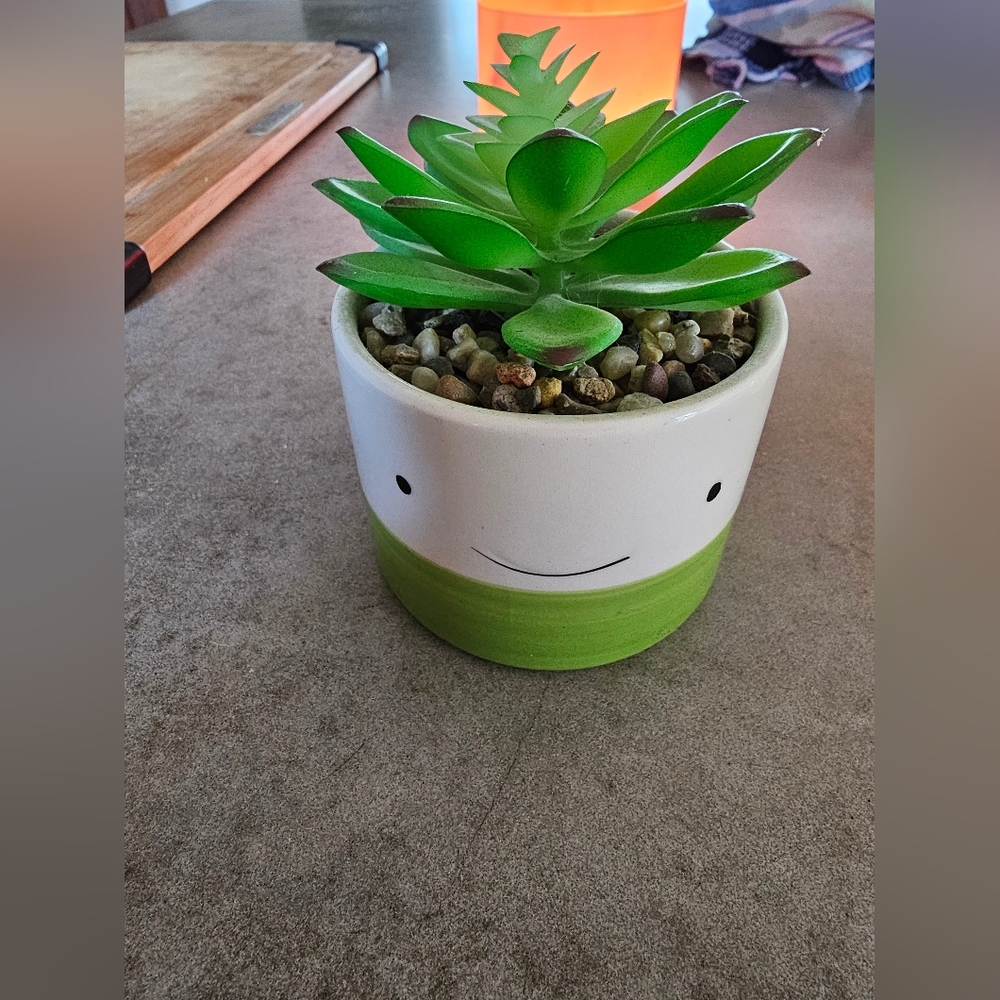 Plant